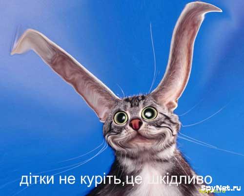 1139771521_shkidlibo_spynet_ru.jpg