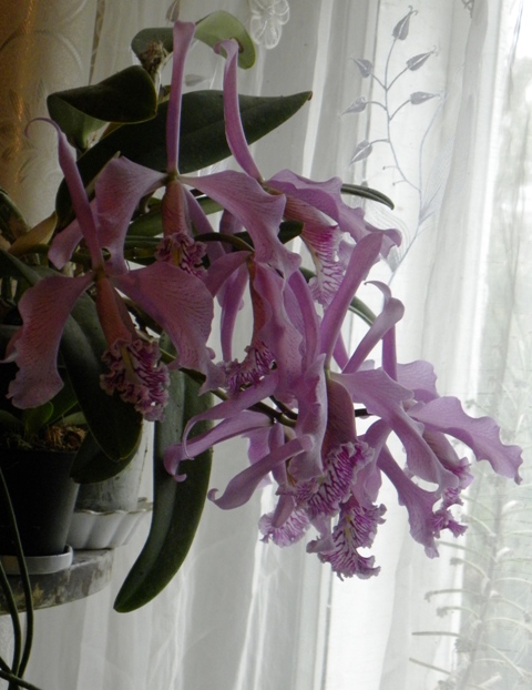 DSCN1915.JPG