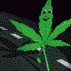 374-1.gif