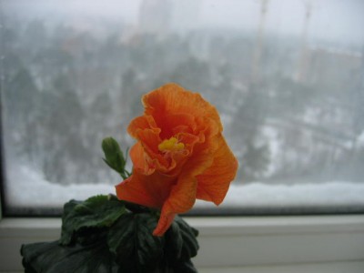 IMG_3535.jpg