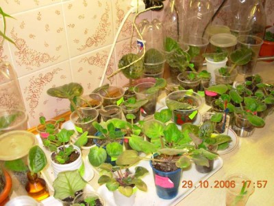DSCN16231.jpg
