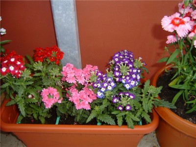 c2f76e023420.jpg