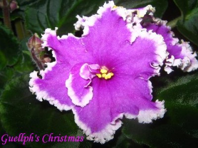 IMG_0050.JPG
