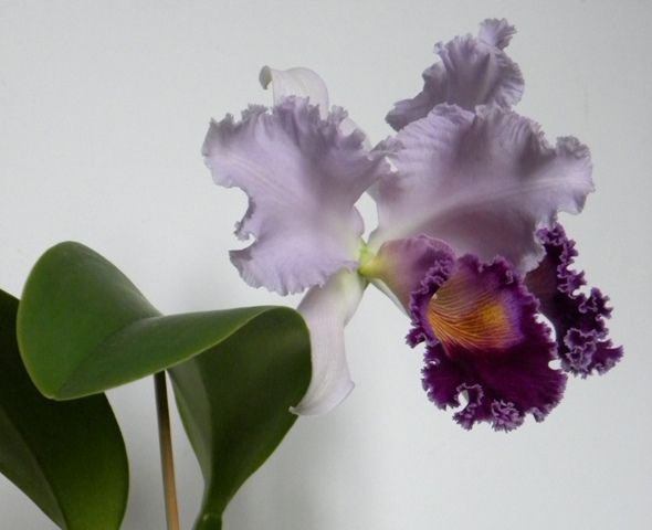 DSCN9439.JPG