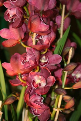 IMG_0066´.jpg