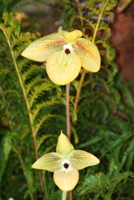 IMG_0043´.jpg