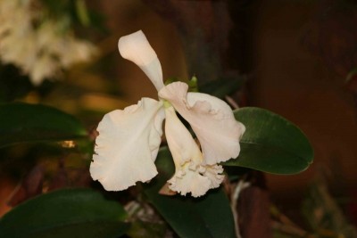 IMG_0069´.jpg