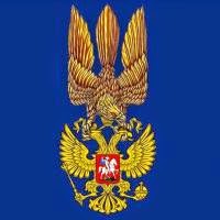 Яструб в піке.jpg