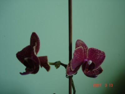 DSC00160.JPG