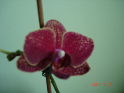 DSC00161.JPG