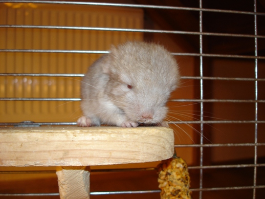 33585_8734.jpg