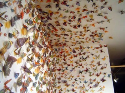 malakoff_swarm_jan_07.jpg
