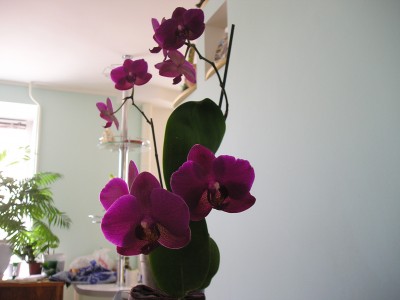 P1010587.JPG