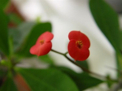 220.jpg