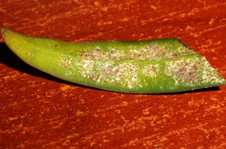 DSCN0002.JPG