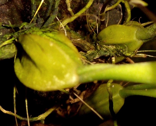 DSCN0001.JPG