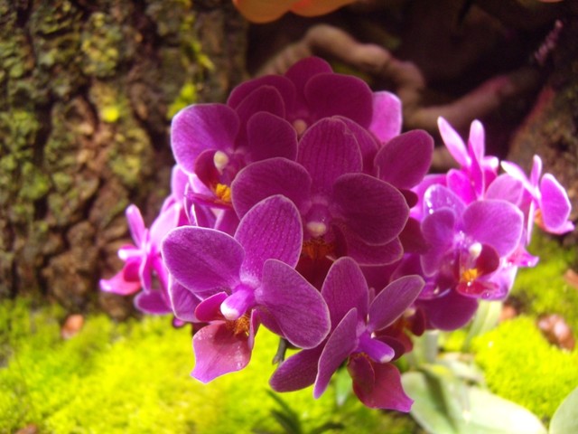 DSCN0020.JPG