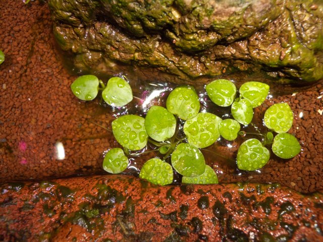 DSCN0026.JPG