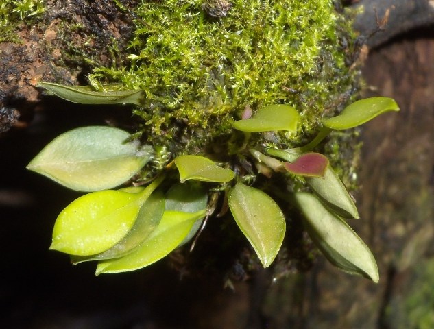 DSCN0013.JPG