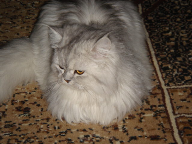 DSC00505.JPG