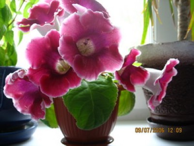 IMG_1790.jpg
