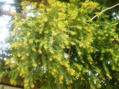 Picture 132.jpg