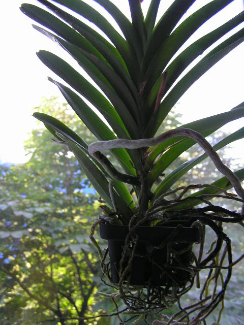 P1020061.JPG