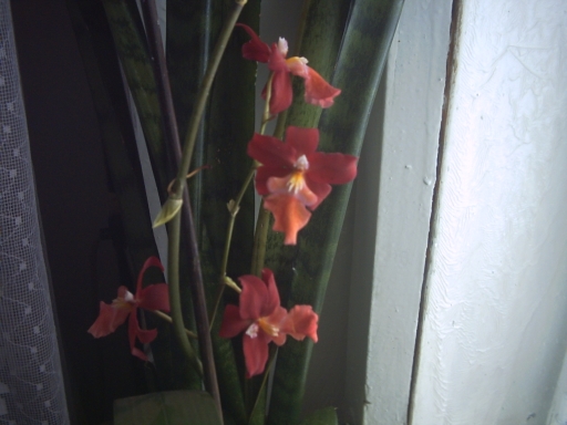 PICT00711.jpg
