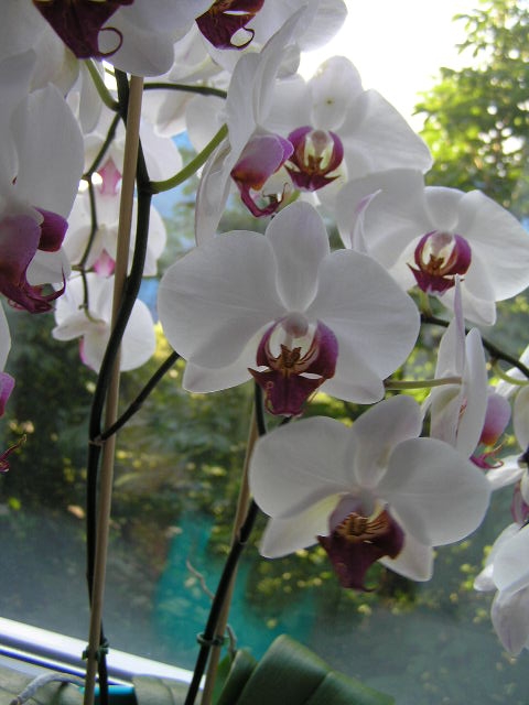 P1020007.JPG