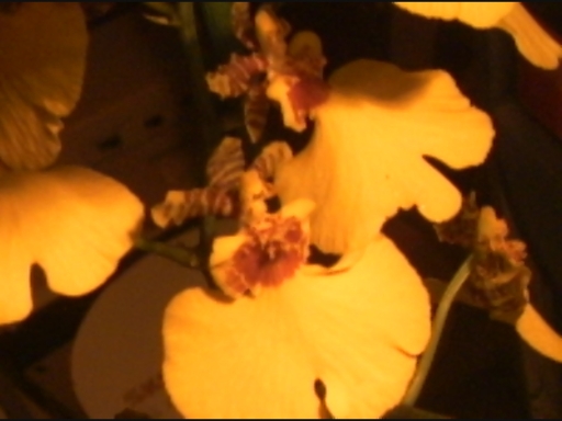 PICT00741.jpg