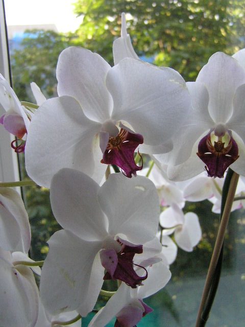 P1020003.JPG