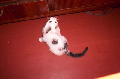 000_0291.jpg