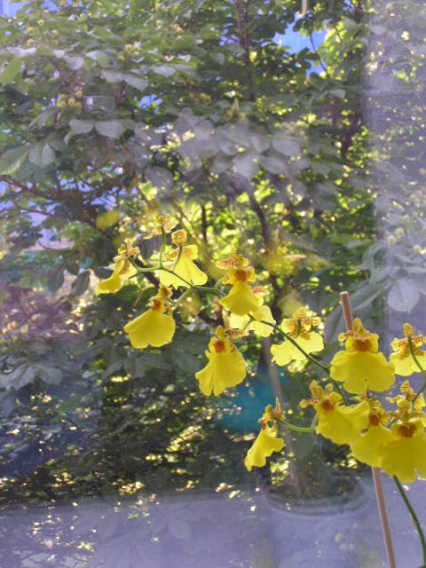 P1020017.JPG