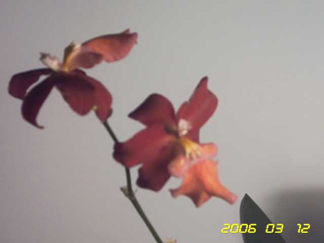 PICT0085.jpg