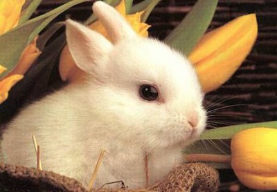 !cid_image002.jpg