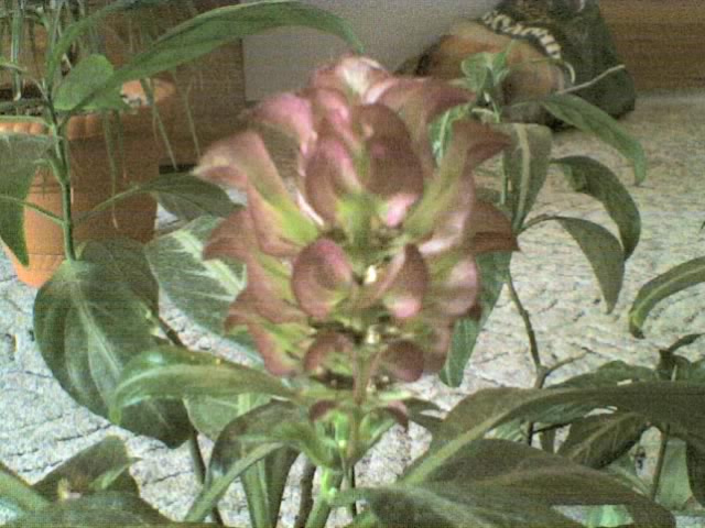 11-03-06_1320.jpg