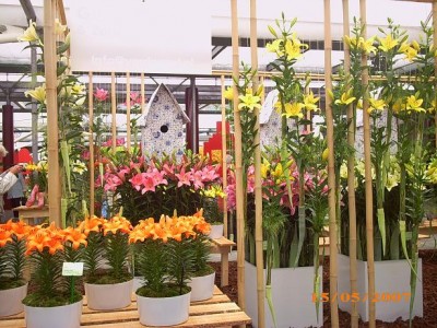 2007 061.JPG