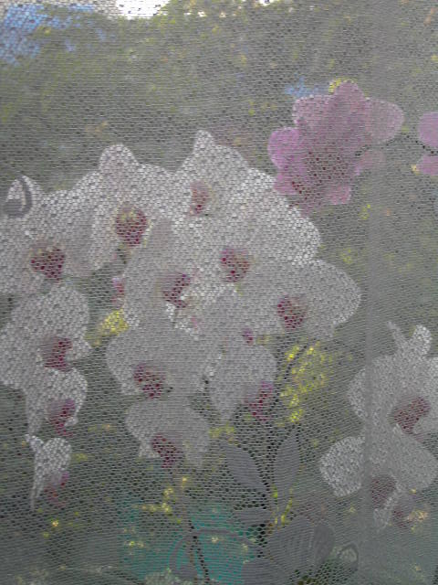P1020030.JPG