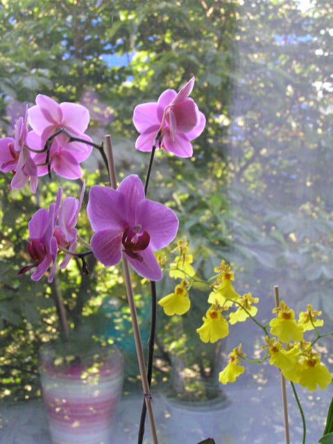 P1020019.JPG
