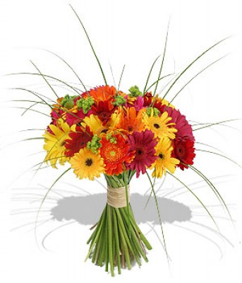 !cid_image001.jpg