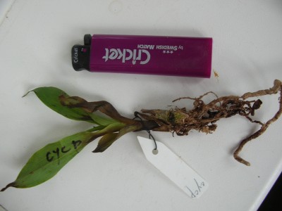DSCN3106.JPG