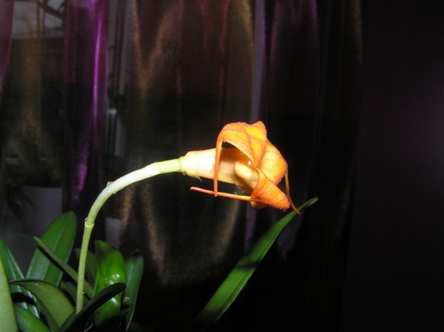 009.jpg