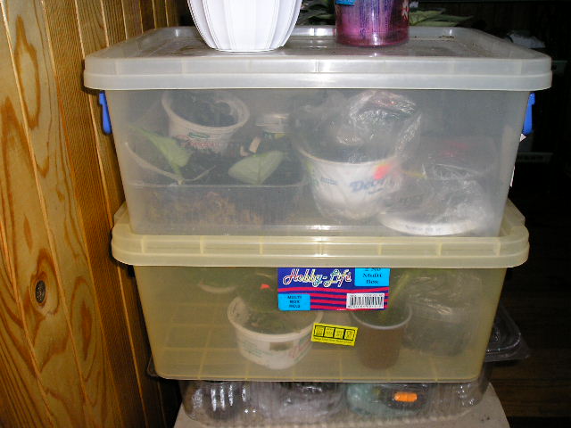 P1010046.JPG
