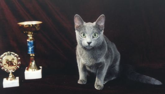 barbyKitten.jpg