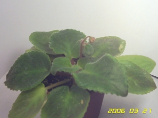PICT0094.jpg