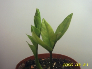 PICT0097.jpg