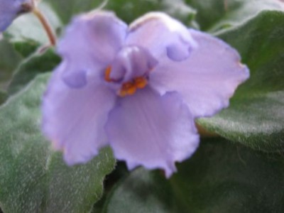 IMG_0080.JPG