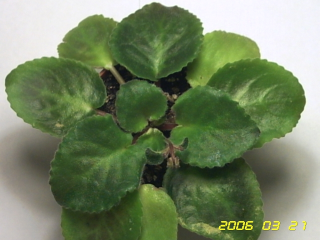 PICT0100.jpg