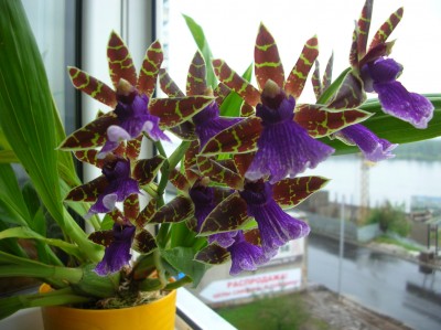 DSCN3157.JPG