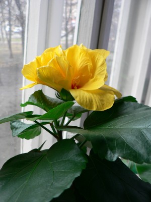P1070109.JPG